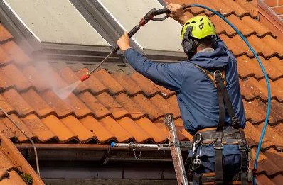 Démoussage et hydrofuge de toiture à Chaniat
